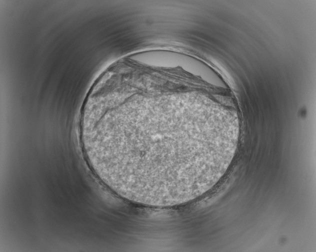 X0000116670899201001251236