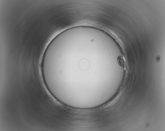 X0000116670901201001251236