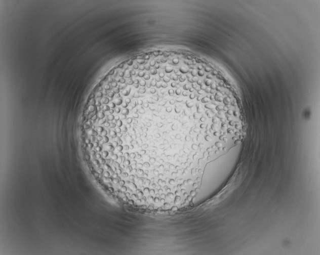 X0000116670906201001251236