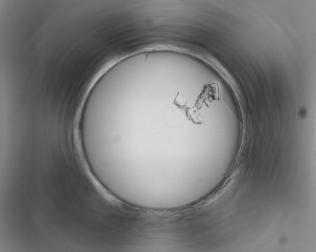 X0000116670909201001251236