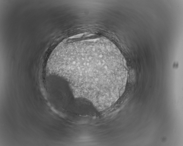 X0000116670913201001251235