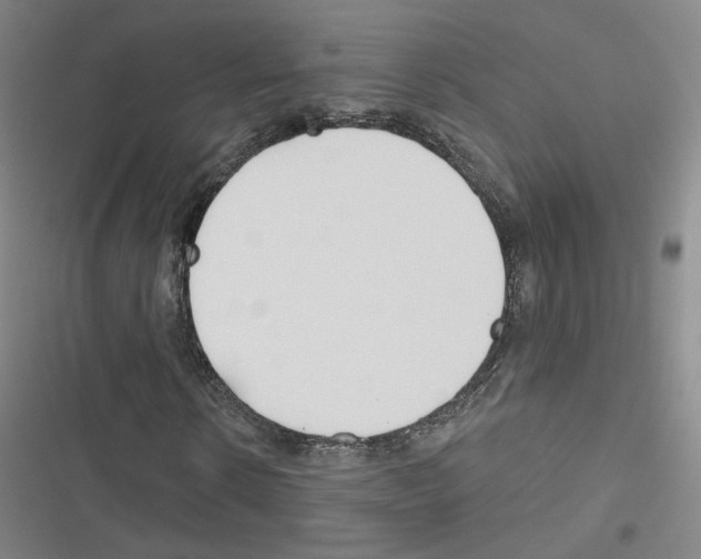 X0000116670914201001251235