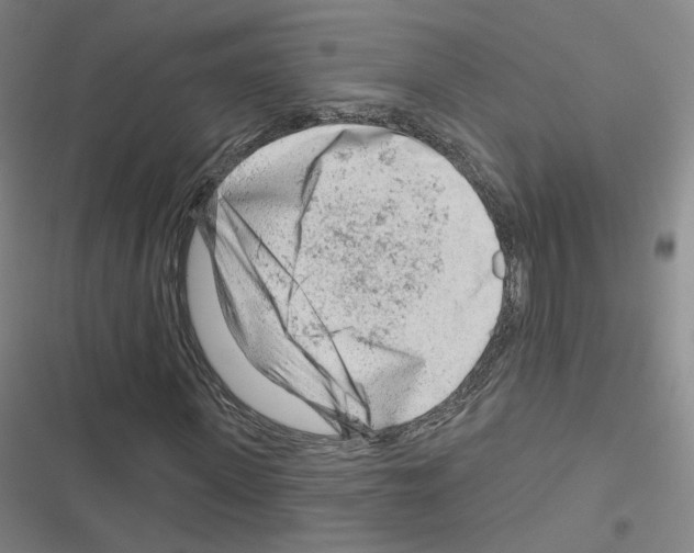 X0000116670915201001251235