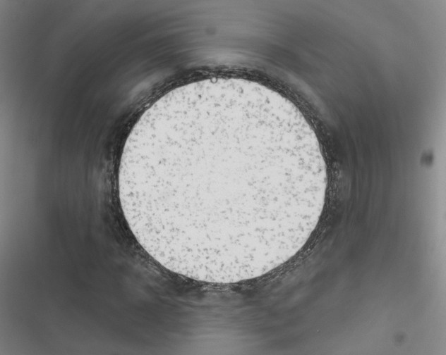 X0000116670918201001251235