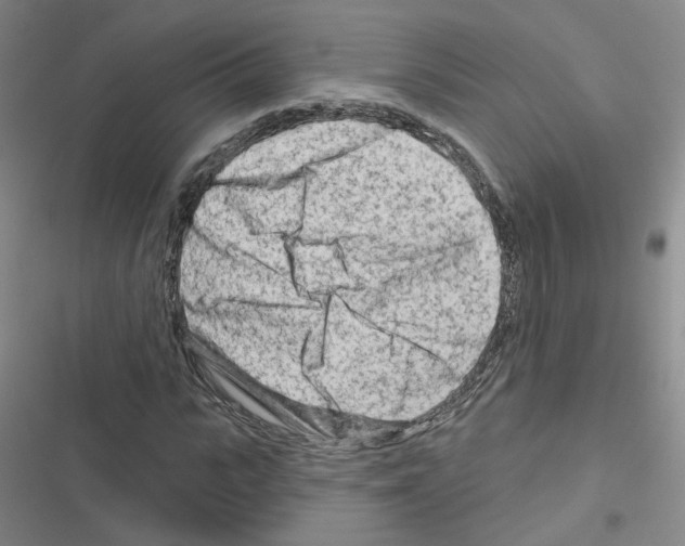 X0000116670919201001251235