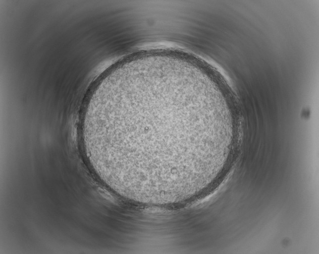 X0000116670921201001251235