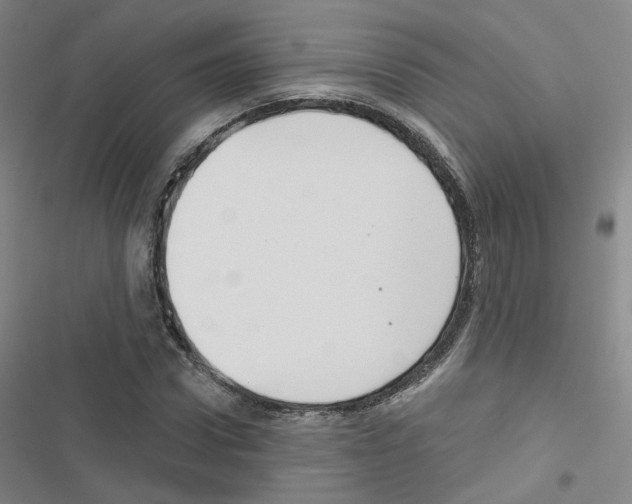 X0000116670922201001251236