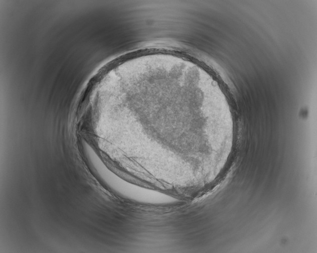 X0000116670923201001251236
