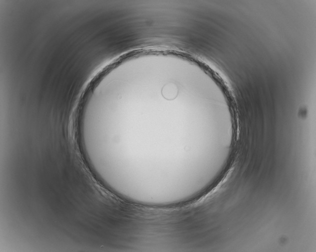 X0000116670925201001251236