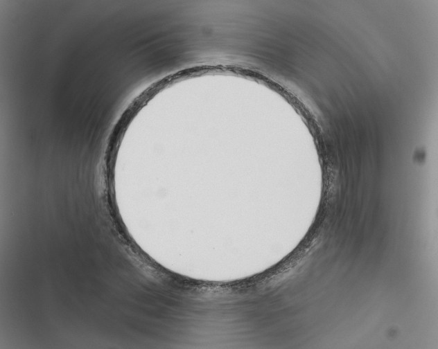 X0000116670927201001251236