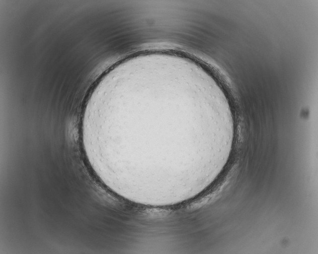 X0000116670929201001251236