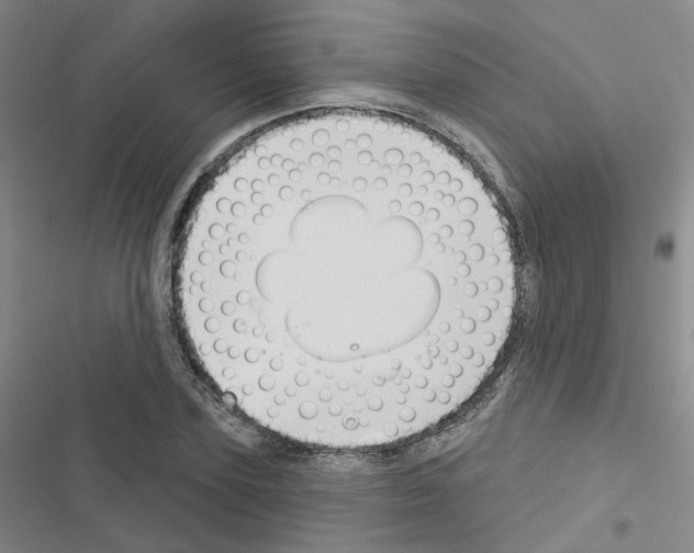 X0000116670931201001251236