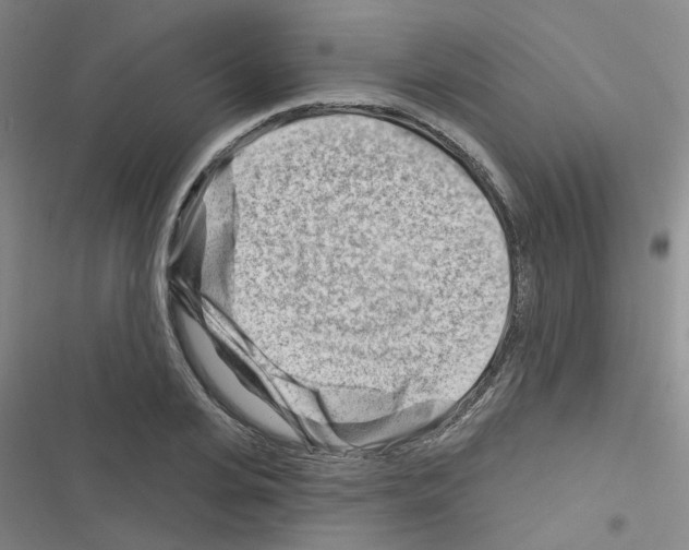 X0000116670935201001251236