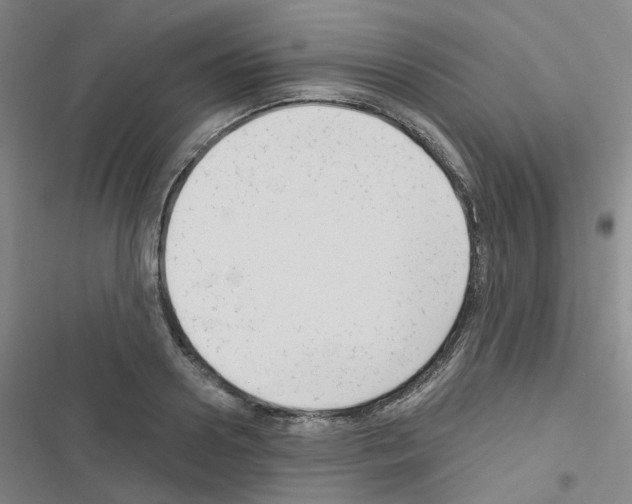 X0000116670938201001251236