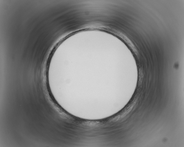 X0000116670939201001251236