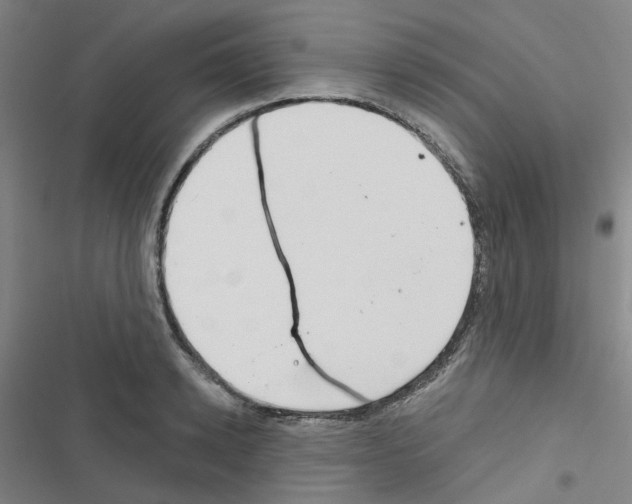 X0000116670942201001251236