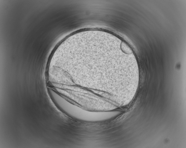 X0000116670943201001251236