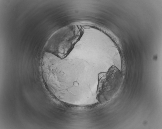 X0000116670945201001251236