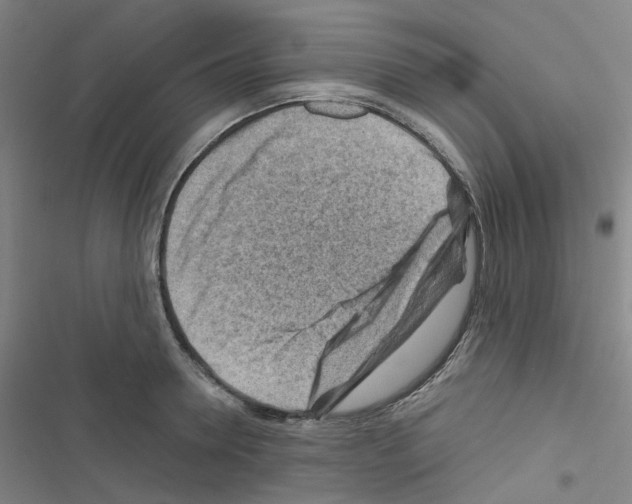 X0000116670946201001251236