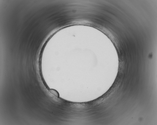 X0000116670947201001251236