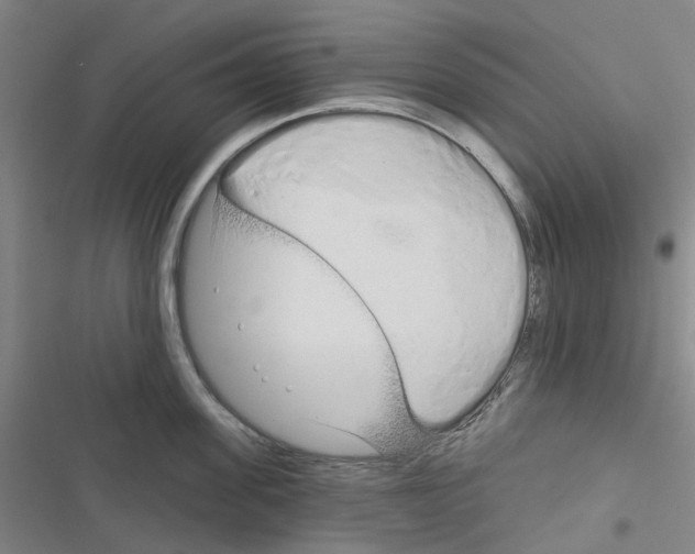 X0000116670955201001251236