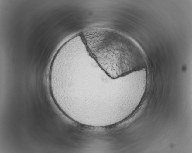X0000116670957201001251236