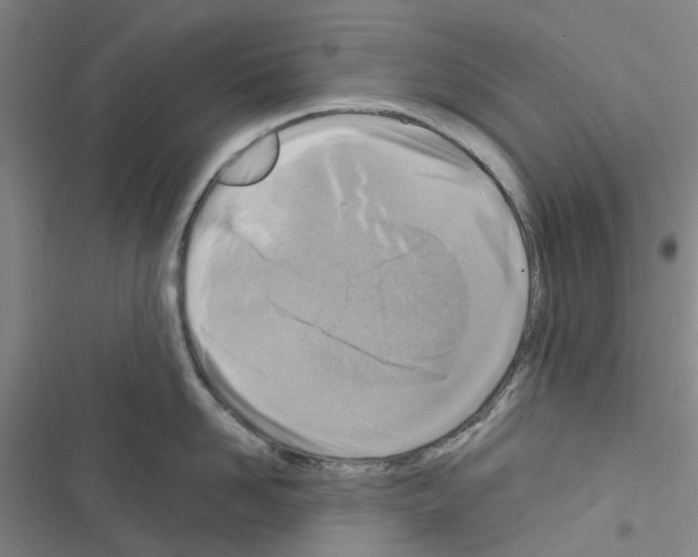 X0000116670958201001251236