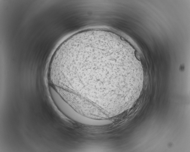 X0000116670959201001251236