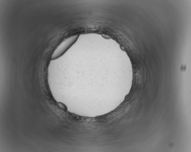 X0000116670961201001251235