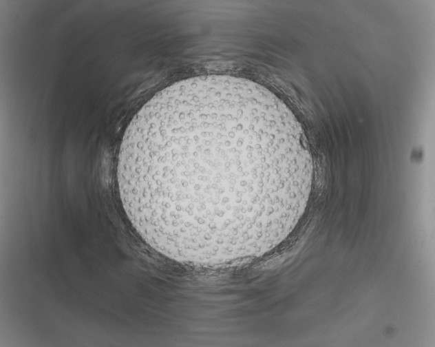 X0000116670962201001251235