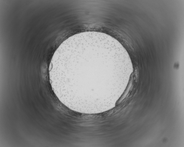 X0000116670963201001251235