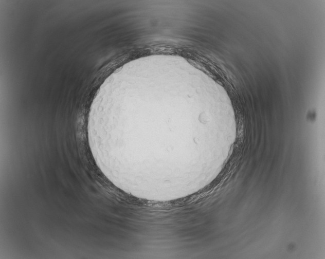 X0000116670964201001251235