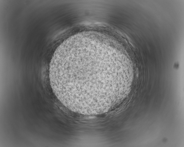 X0000116670966201001251235