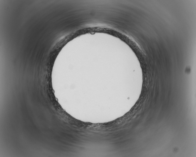 X0000116670967201001251235