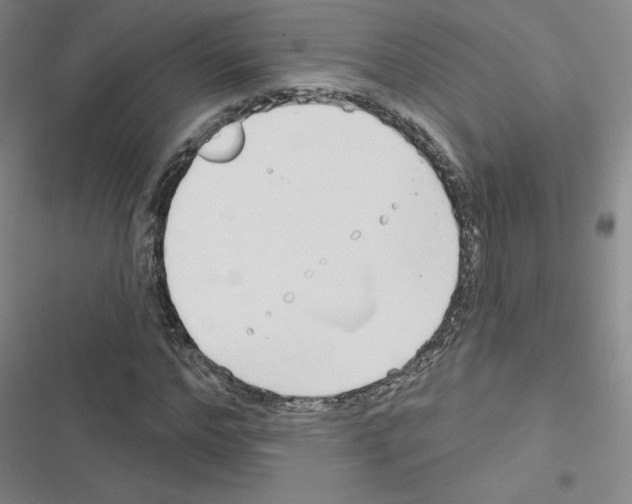 X0000116670968201001251235
