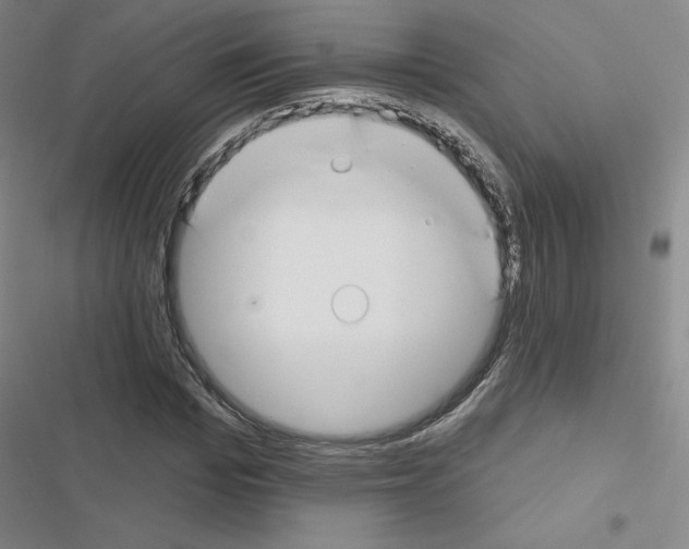 X0000116670969201001251235