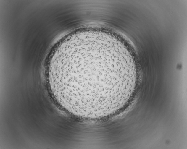 X0000116670970201001251235