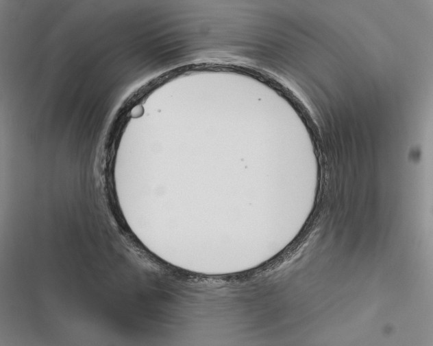 X0000116670971201001251235