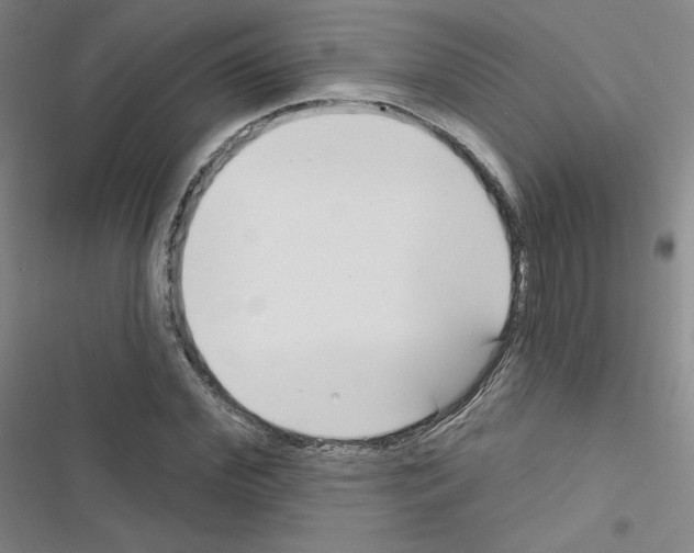 X0000116670972201001251235