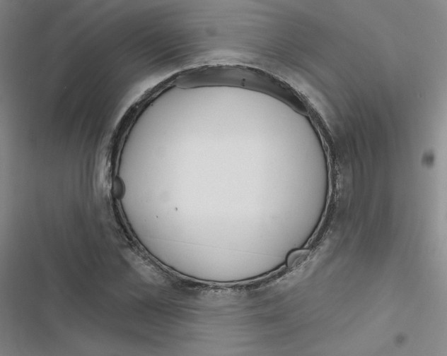 X0000116670973201001251235