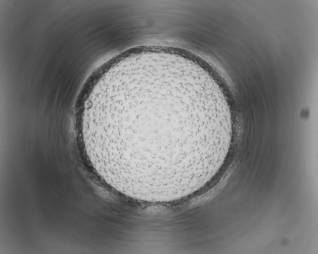 X0000116670974201001251235