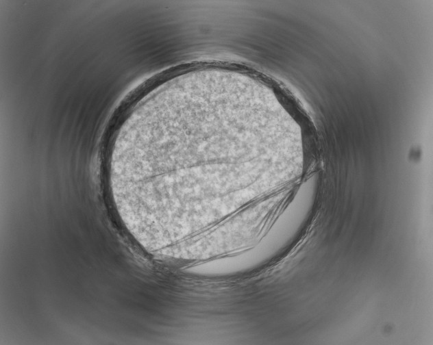 X0000116670975201001251235