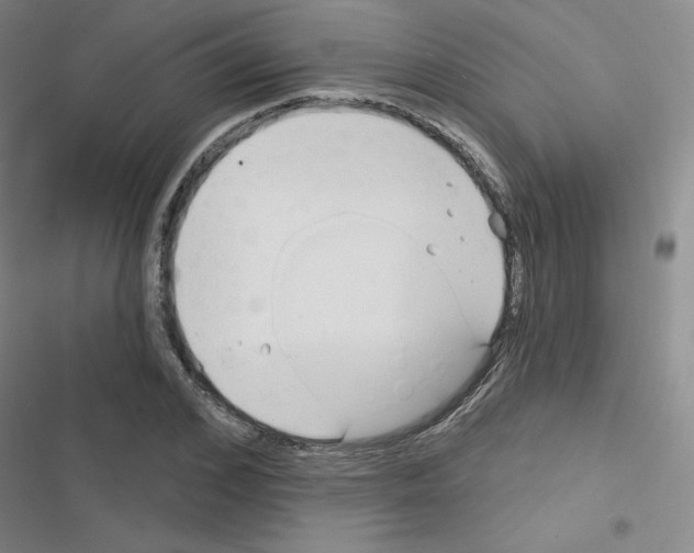 X0000116670976201001251235