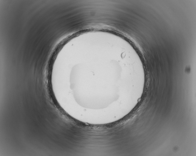 X0000116670979201001251235