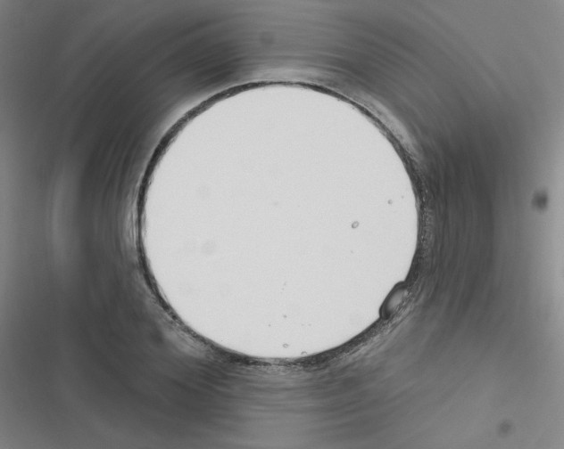 X0000116670980201001251235
