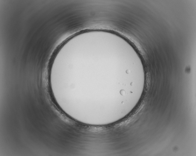 X0000116670982201001251235