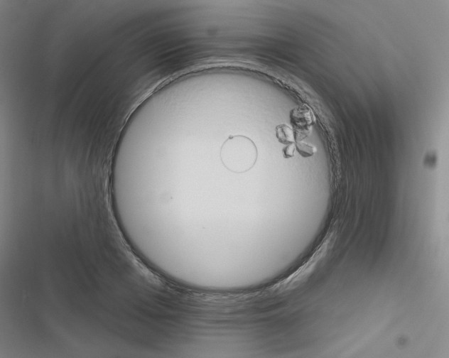 X0000116670985201001251235