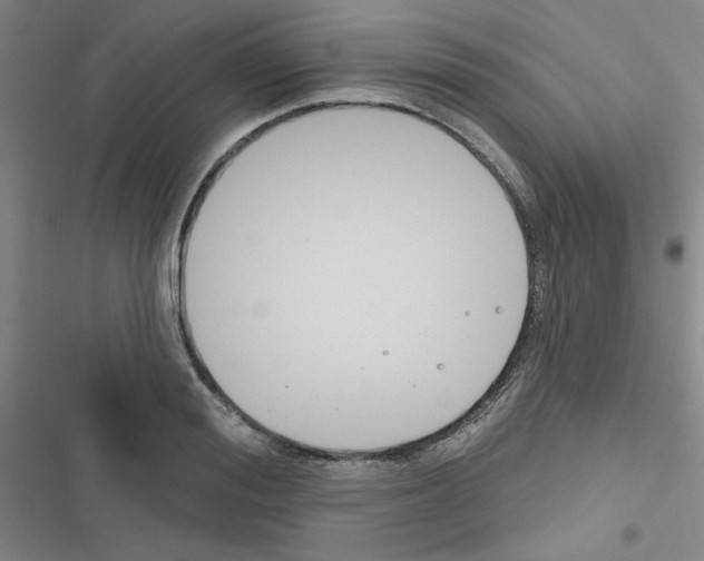 X0000116670988201001251235