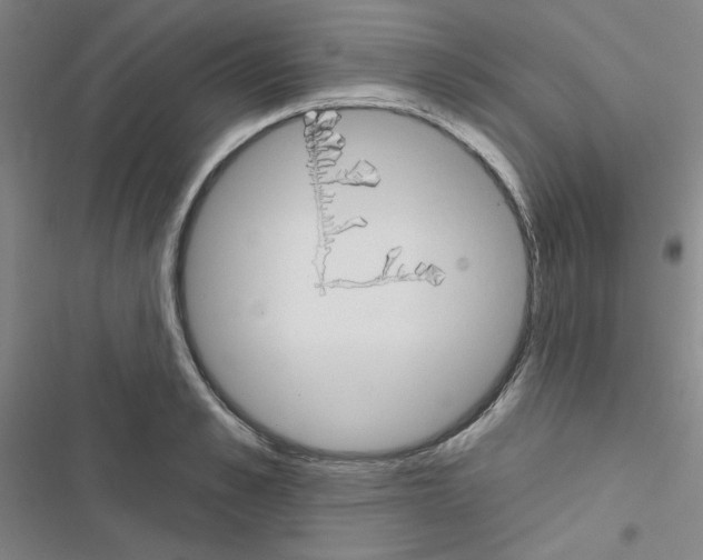 X0000116670989201001251235