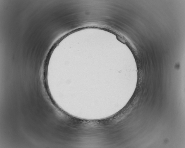 X0000116670991201001251235